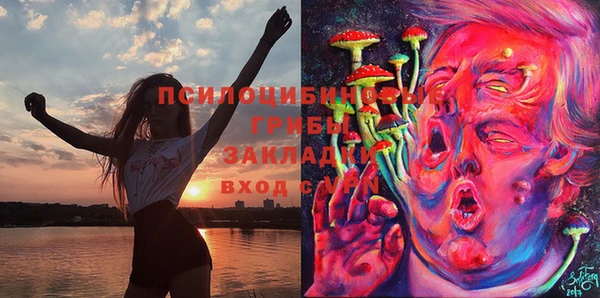 героин Алексин
