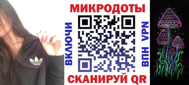 Галлюциногенные грибы Psilocybine cubensis Кадников